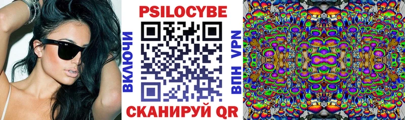 ссылка на мегу зеркало  Пятигорск  Псилоцибиновые грибы мухоморы 